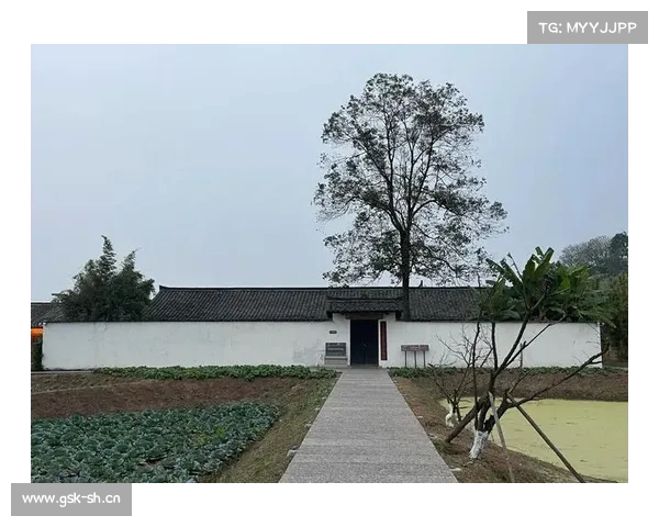 李庄古镇的抗战记忆与文化传承在长江千年风云中的深刻印记 李庄古镇的抗战记忆与文化传承在长江千年风云中的深刻印记